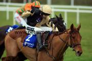 back-in-focus-pml-00115487