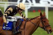 back-in-focus-pml-00115491