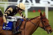 back-in-focus-pml-00115491