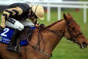 back-in-focus-pml-00115492