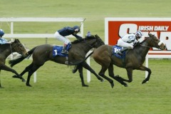 Giant Slalom PML 0087325