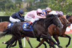 Bewitched PML 00154777