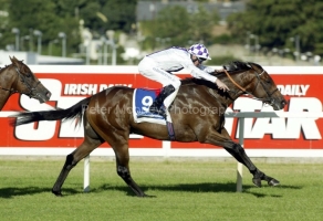 Teofilo PML0017631.jpg