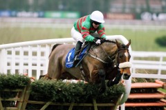 Give It Time PML 0083931.JPG