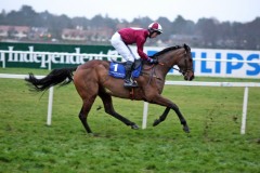 Don't Turn Bach PML 00107748.JPG