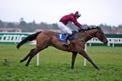 Don't Turn Bach PML 00.JPG