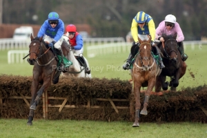 Hurricane Fly-PMLOO141414 Hurricane Fly-PMLOO141414