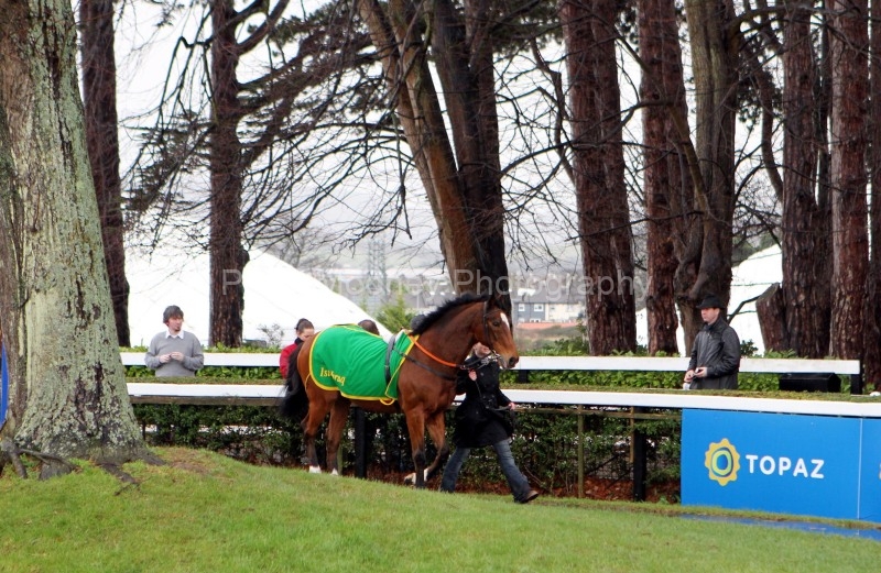 Istabraq-PML 00174799