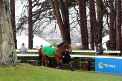 Istabraq-PML 00174799