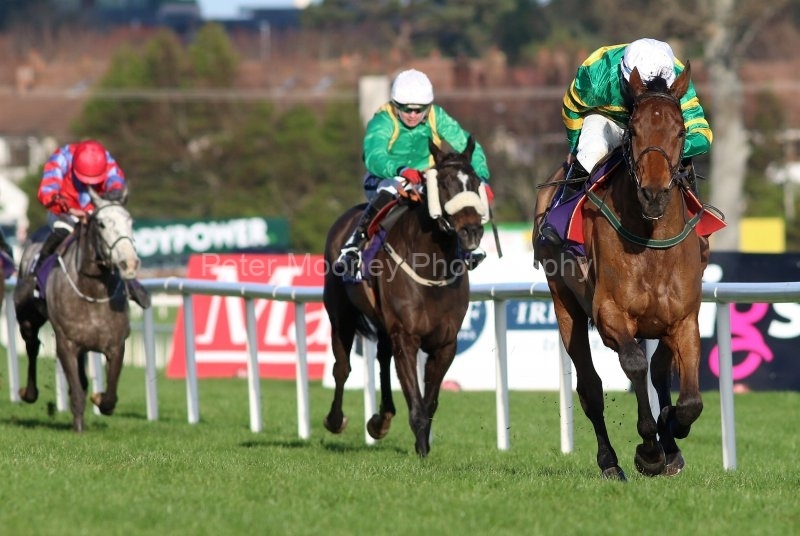 Midnight-Maestro-291220PML0764