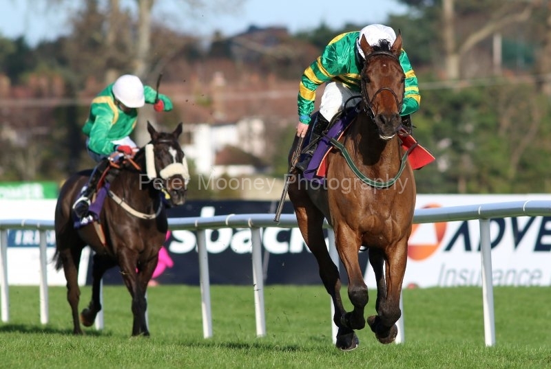 Midnight-Maestro-291220PML0772