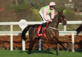 Sharjah 291221PML1086.jpg