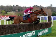 29 December 2019; BATTLEOVERDOYEN, Davy Russell up, clears an obstacle before gaining success in The Neville Hotels Novice Steeplechase at Leopardstown.      © Peter Mooney, 59 Upper George's Street, Dun Laoghaire, Co. Dublin A96 H2R3, Ireland.    Tel:  00 353 (0)86 2589298