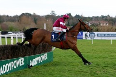 29 December 2019; BATTLEOVERDOYEN, Davy Russell up, clears an obstacle before gaining success in The Neville Hotels Novice Steeplechase at Leopardstown.      © Peter Mooney, 59 Upper George's Street, Dun Laoghaire, Co. Dublin A96 H2R3, Ireland.    Tel:  00 353 (0)86 2589298