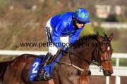 hurricane-fly-pml-00115796