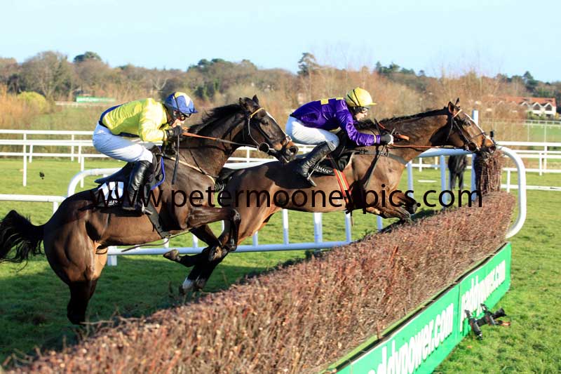lord-windermere-pml-00115770