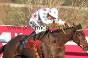 carrigmoorna-rock-291214pml0665 carrigmoorna-rock-291214pml0665
