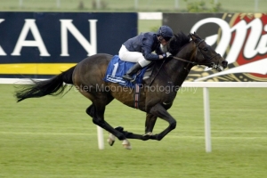 Yeats PML 0039070.jpg