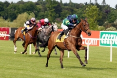 Elyaadi PML 00121611.JPG