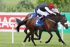 Profound Beauty PML 00121363.JPG