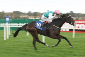 Zaminast-PML 00167579