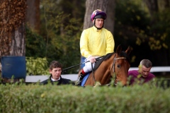 Born To Sea-PML 00167506