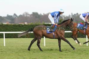 shining-emerald-300314pml0550 shining-emerald-300314pml0550