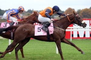 Tiz The Shot-PMLOO139493 Tiz The Shot-PMLOO139493