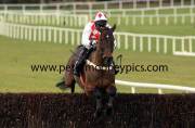 flemenstar-pml-00117719