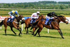 Inxile PML 0092772.JPG