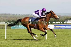 minding-010517pml0699 minding-010517pml0699