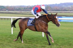 3 November 2019;   JUKEBOX JIVE, ridden by Sean Davis, winning The Daragh Fitzpatrick & Colm White Local Bookmakers November Handicap at Naas.      © Peter Mooney, 59 Upper George's Street, Dun Laoghaire, Co. Dublin, Ireland.    Tel:  00 353 (0)86 2589298