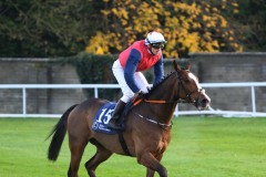 3 November 2019;   JUKEBOX JIVE, ridden by Sean Davis returning after having claimed The Daragh Fitzpatrick & Colm White Local Bookmakers November Handicap at Naas.      © Peter Mooney, 59 Upper George's Street, Dun Laoghaire, Co. Dublin, Ireland.    Tel:  00 353 (0)86 2589298