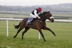 3 November 2019;   MARIA CHRISTINA and Oisin Orr winning The P & T Stapleton Ltd Sobac Soil Maiden at Naas.      © Peter Mooney, 59 Upper George's Street, Dun Laoghaire, Co. Dublin, Ireland.    Tel:  00 353 (0)86 2589298