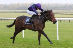 3 November 2019;  TIDE OF TIME, ridden by Oisin Orr, winning The Christmas Party Raceday At Naas Handicap at Naas.      © Peter Mooney, 59 Upper George's Street, Dun Laoghaire, Co. Dublin, Ireland.    Tel:  00 353 (0)86 2589298