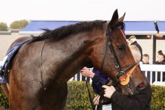 3 November 2019;  TIDE OF TIME in the winner's enclosure after his success in The Christmas Party Raceday At Naas Handicap at Naas.      © Peter Mooney, 59 Upper George's Street, Dun Laoghaire, Co. Dublin, Ireland.    Tel:  00 353 (0)86 2589298