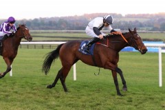 3 November 2019;  WARNAQ, ridden by Robbie Colgan winning The Finale Stakes at Naas.      © Peter Mooney, 59 Upper George's Street, Dun Laoghaire, Co. Dublin, Ireland.    Tel:  00 353 (0)86 2589298