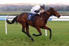 3 November 2019;  WARNAQ, ridden by Robbie Colgan winning The Finale Stakes at Naas.      © Peter Mooney, 59 Upper George's Street, Dun Laoghaire, Co. Dublin, Ireland.    Tel:  00 353 (0)86 2589298