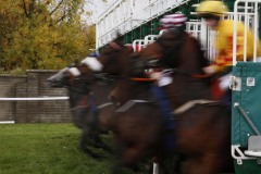 3 November 2019;  The horses burst from the stalls at the start of The P & T Stapleton Ltd Sobac Soil Maiden at Naas.      © Peter Mooney, 59 Upper George's Street, Dun Laoghaire, Co. Dublin, Ireland.    Tel:  00 353 (0)86 2589298