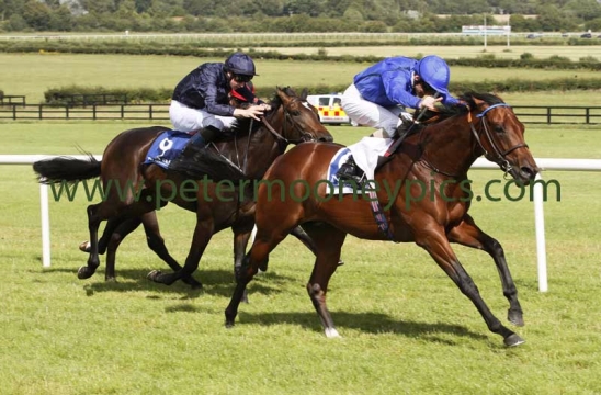 herald-the-dawn-030815pml656