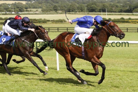 herald-the-dawn-030815pml658