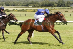 herald-the-dawn-030815pml659 herald-the-dawn-030815pml659