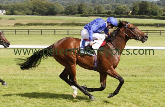 herald-the-dawn-030815pml661