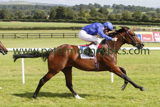 herald-the-dawn-030815pml662