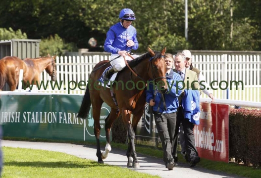 herald-the-dawn-030815pml667