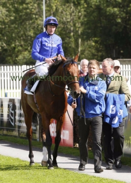 herald-the-dawn-030815pml671