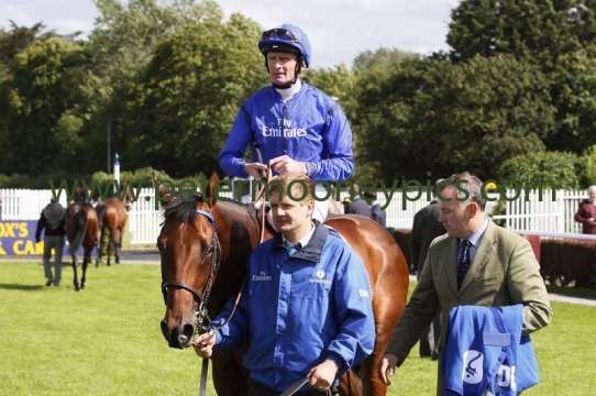 herald-the-dawn-030815pml674