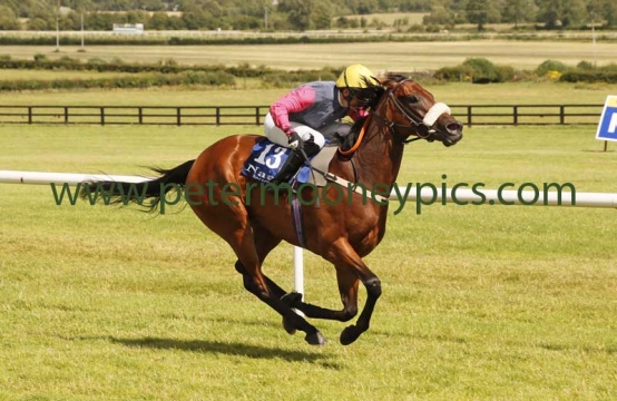 little-treasure-030815pml624