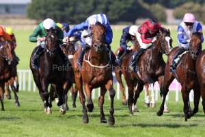 Howd'yadoit 040825PML0920.jpg