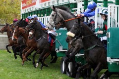 4 November 2018;  The start of The JF Dunne Insurances Maiden at Naas.      © Peter Mooney, 59 Upper George's Street, Dun Laoghaire, Co. Dublin, Ireland.    Tel:  00 353 (0)86 2589298